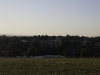 IMG_4561