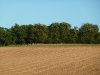 P1000266