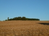 P1000271