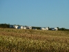 P1000273