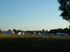 P1000274