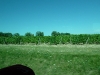 P1000019